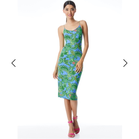 Alice + Olivia Dresses & Skirts - NWT Alice + Olivia Delora paisley slip dress size 2